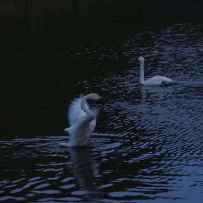 bob综合app官方下载截图